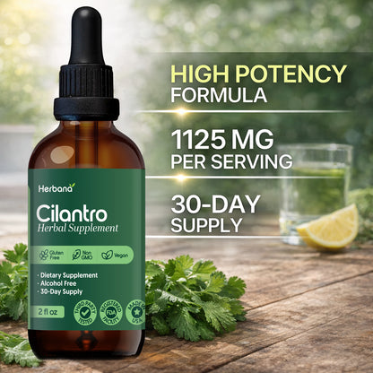 Cilantro
