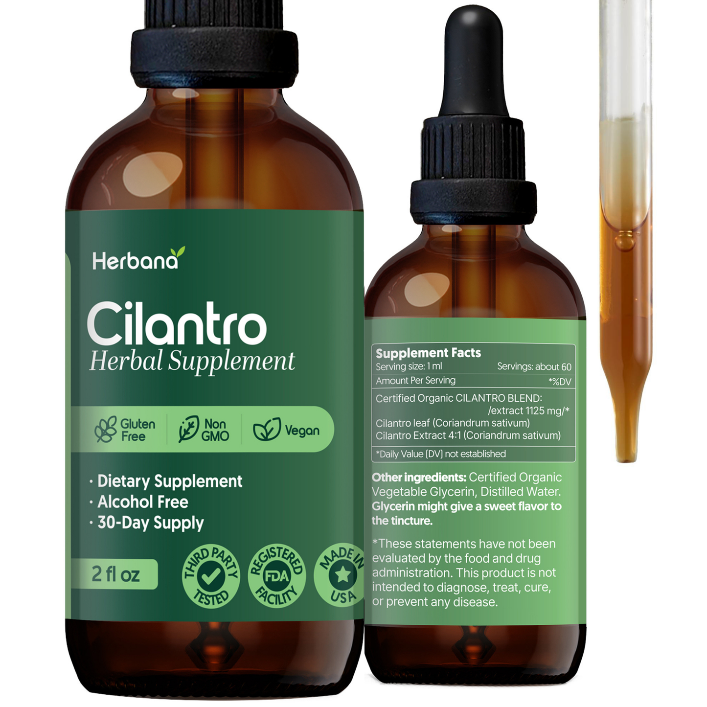 Cilantro